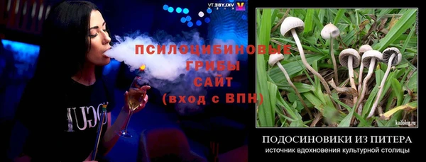 герыч Алексин