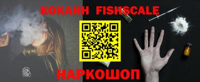 индика Кингисепп