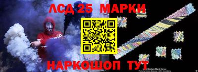 индика Кингисепп
