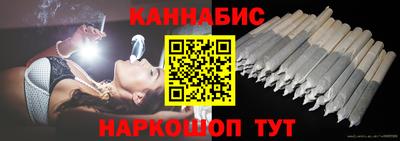 индика Кингисепп