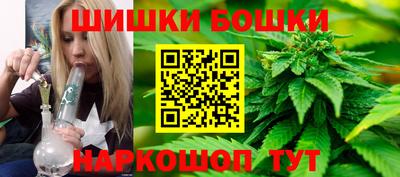 индика Кингисепп
