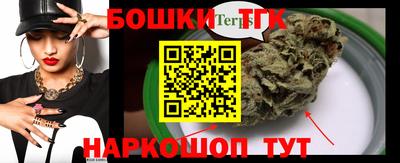 индика Кингисепп