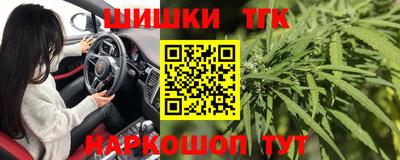 индика Кингисепп