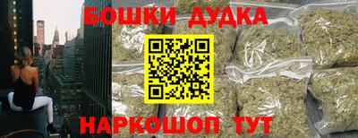 индика Кингисепп