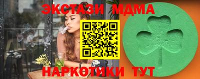 индика Кингисепп