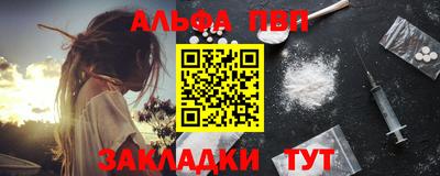 индика Кингисепп