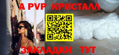 индика Кингисепп