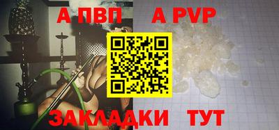 индика Кингисепп