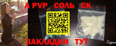 индика Кингисепп