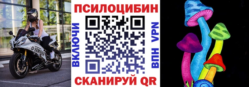 где продают   Кызыл  Псилоцибиновые грибы ЛСД 