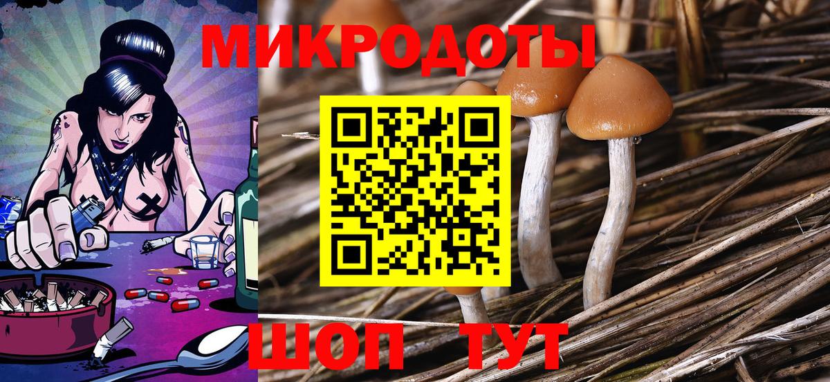 Галлюциногенные грибы GOLDEN TEACHER  Псилоцибиновые грибы мицелий  Кызыл  Вход с VPN 